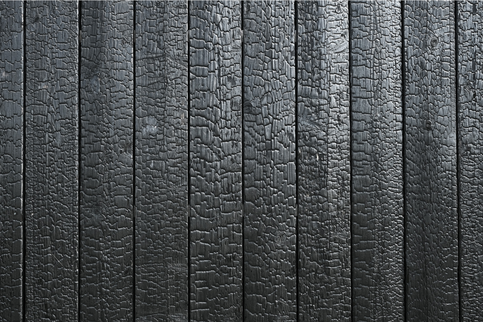 Yakisugi charred cedar fence with deep black finish in Tulsa residential yard