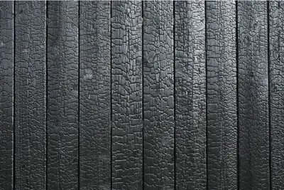 Yakisugi charred cedar fence with deep black finish in Tulsa residential yard